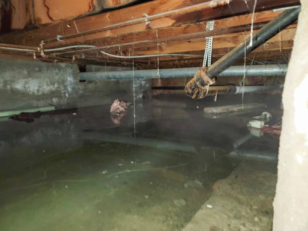 , CO Water damage restoration Company