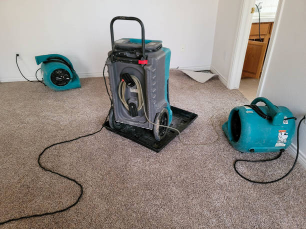 Water damage restoration insurance claims in CO