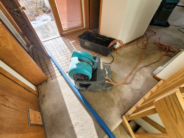 Best Flood restoration services  in Idaho Springs, CO