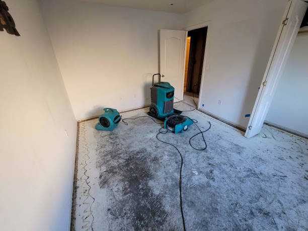  Idaho Springs, CO Water damage restoration Pros