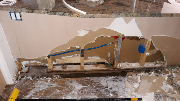 Best Water damage contractors near me  in Idaho Springs, CO