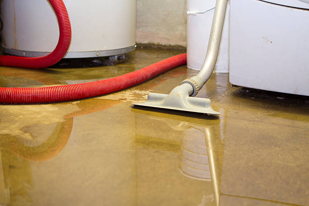 Best Water damage restoration near me  in Idaho Springs, CO