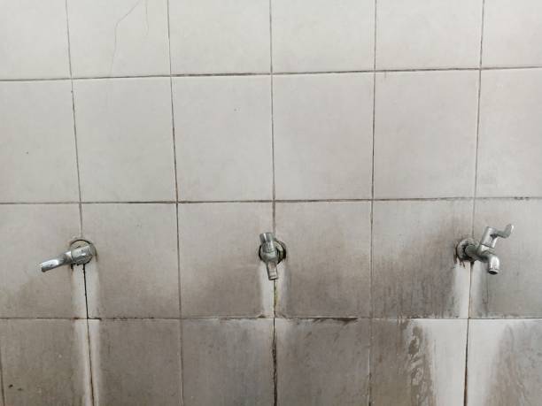 Best Emergency water damage restoration  in Idaho Springs, CO