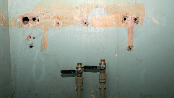 Best Water damage restoration insurance claims  in Idaho Springs, CO
