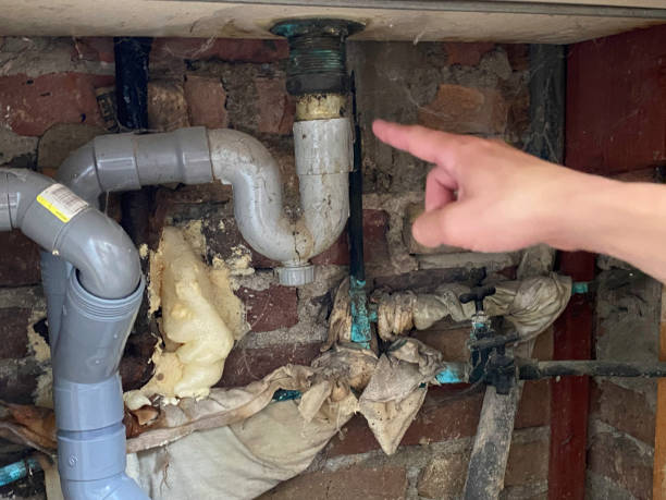 Best Sewage cleanup and water damage restoration  in Idaho Springs, CO
