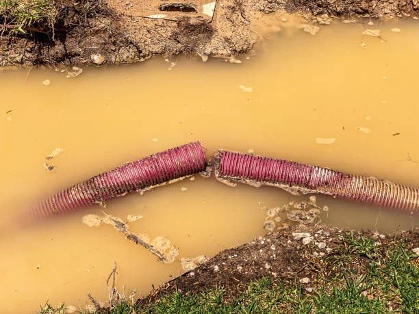 24/7 water damage repair in CO