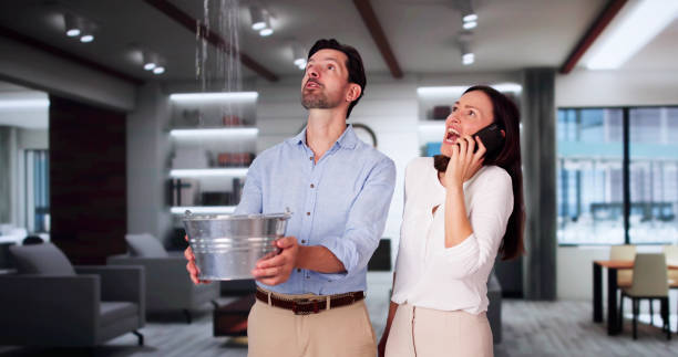 Best 24-hour water damage restoration  in Idaho Springs, CO
