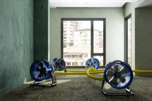 Best 24/7 water damage repair  in Idaho Springs, CO